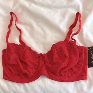 Lyndal embroidered mesh balconette bra